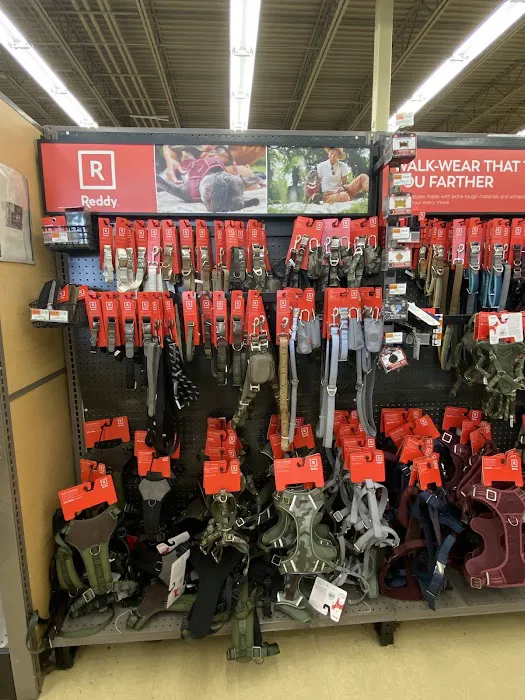 Petco Picture 9