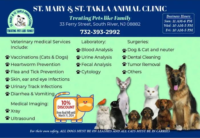 St Mary and St Takla Animal Clinic Picture 5