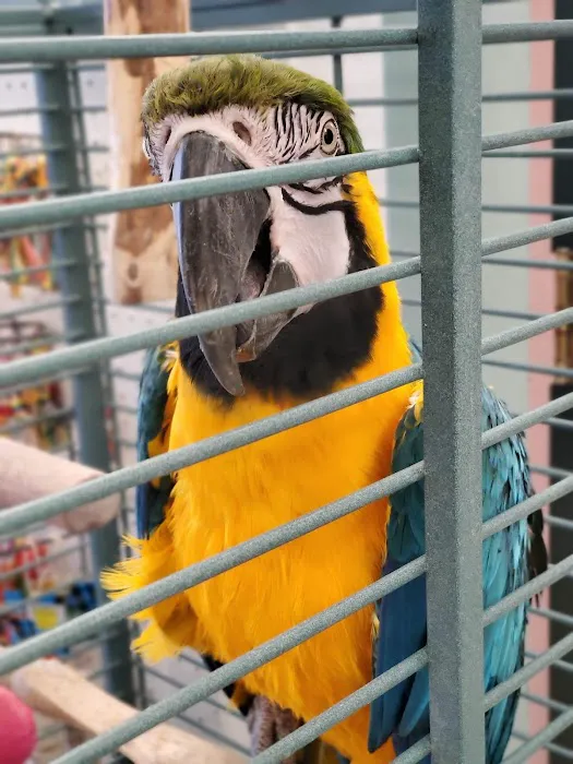Just for Pets Picture 1