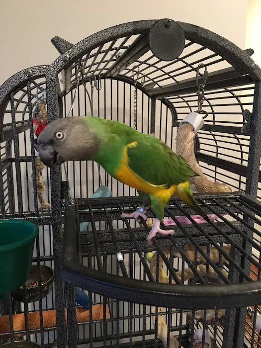 Just for Pets Picture 5