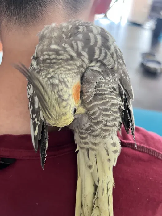 Just for Pets Picture 6