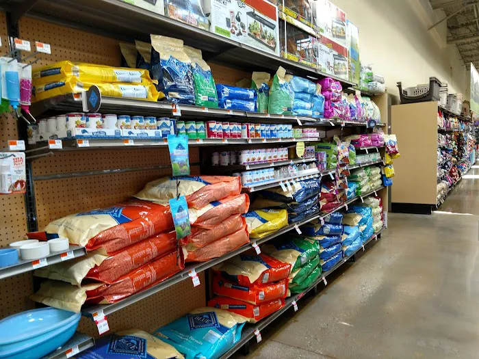 Petco Picture 1