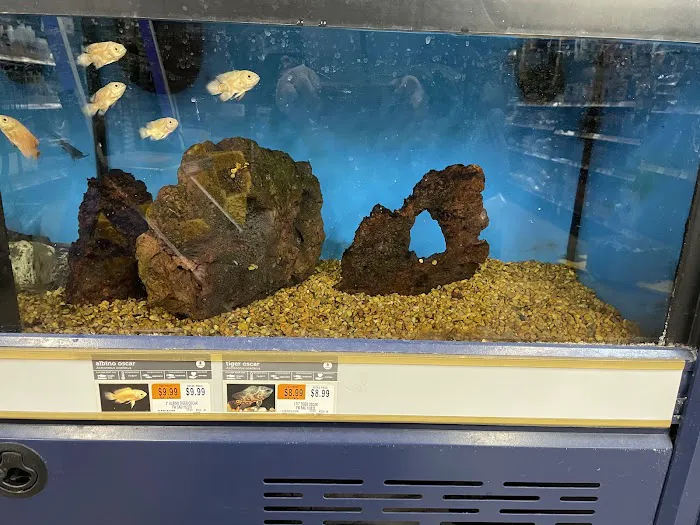 Petco Picture 2