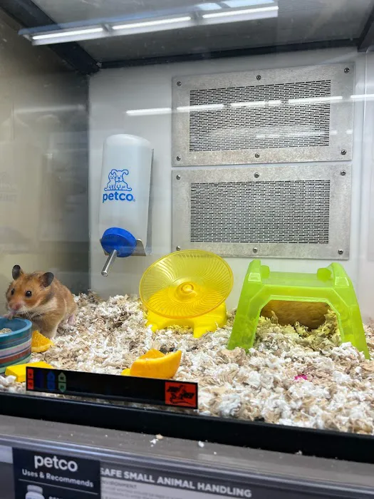 Petco Picture 5
