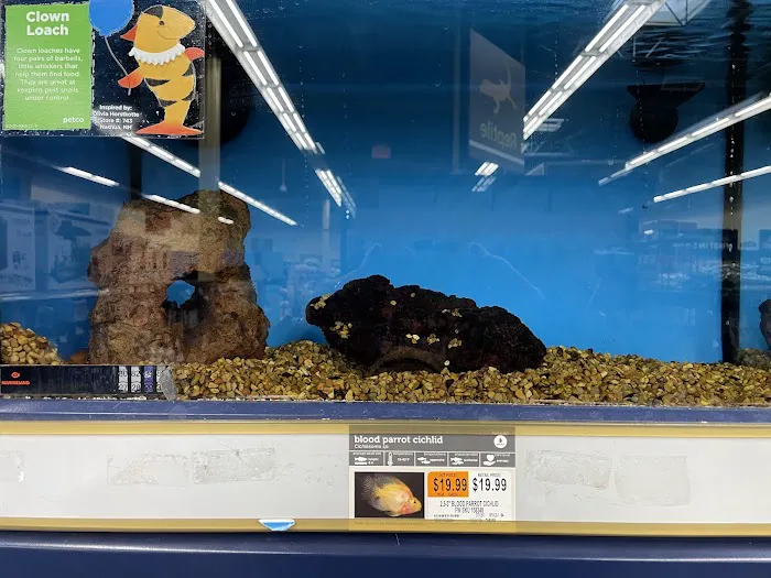 Petco Picture 10
