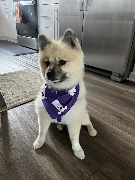 Petco Picture 6