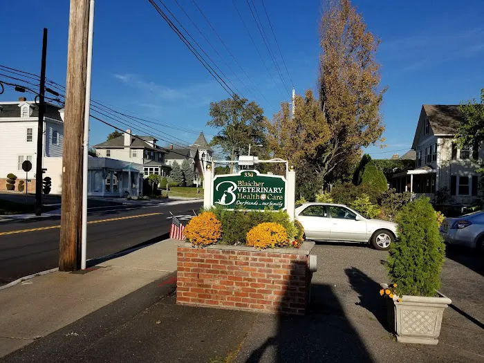 Blaicher Veterinary Health Care Picture 3