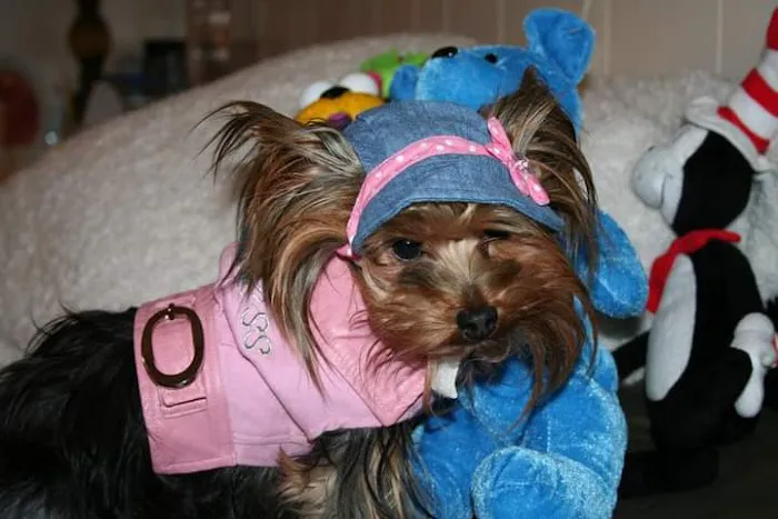 Green Brook Animal Hospital Picture 6