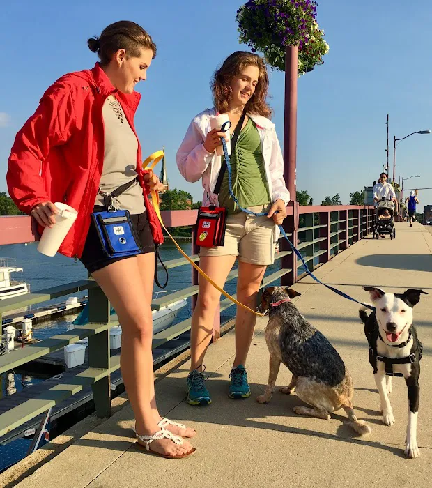 WALY WAG - Dog Walk Bag Picture 8