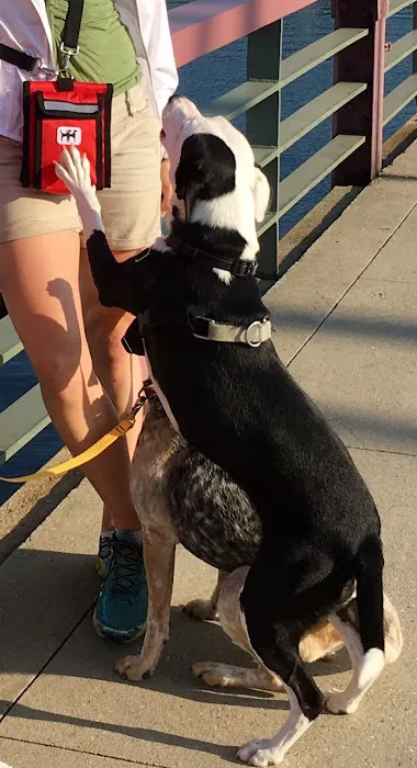 WALY WAG - Dog Walk Bag Picture 10