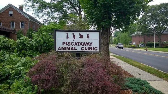 Piscataway Animal Clinic Picture 3