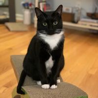 Piscataway Animal Clinic ico