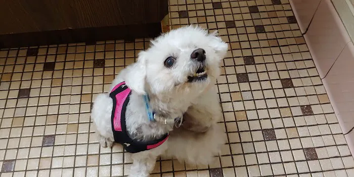 Piscataway Animal Clinic Picture 9