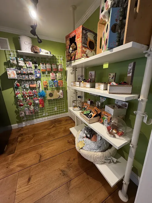 WOOF! WOOF! Pet Boutique & Biscuit Bar Picture 5