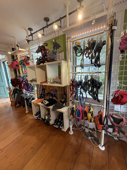 WOOF! WOOF! Pet Boutique & Biscuit Bar Picture 3