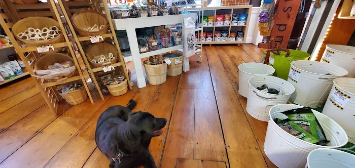 WOOF! WOOF! Pet Boutique & Biscuit Bar Picture 7