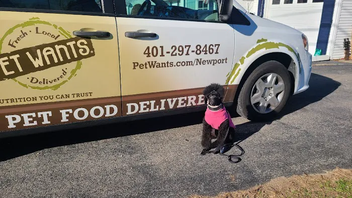 Pet Wants Newport Picture 2