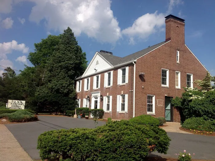 Raritan Animal Hospital Picture 3