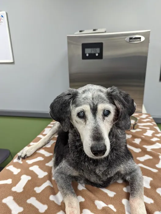Raritan Animal Hospital Picture 10