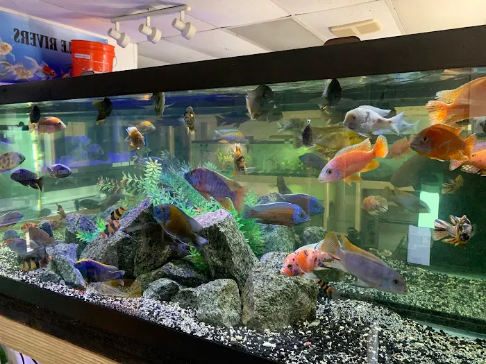 Little Rivers Aquatics Picture 3
