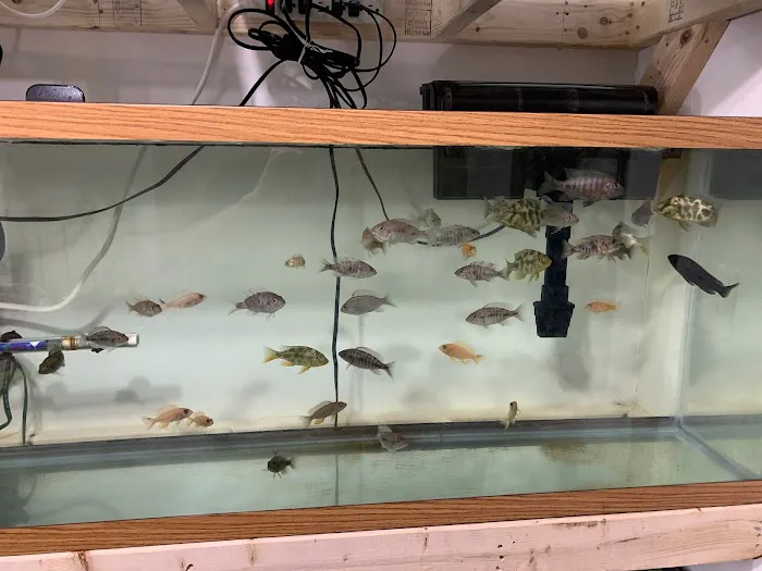 Little Rivers Aquatics Picture 2