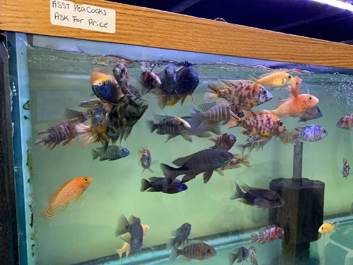 Little Rivers Aquatics Picture 5