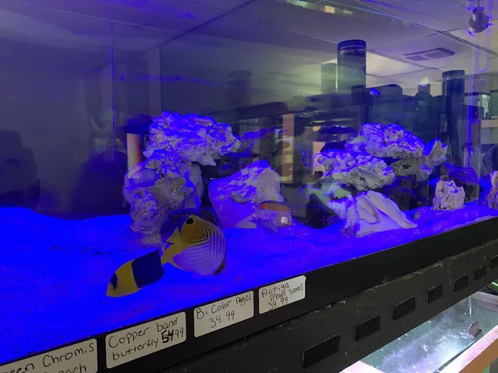 Little Rivers Aquatics Picture 6