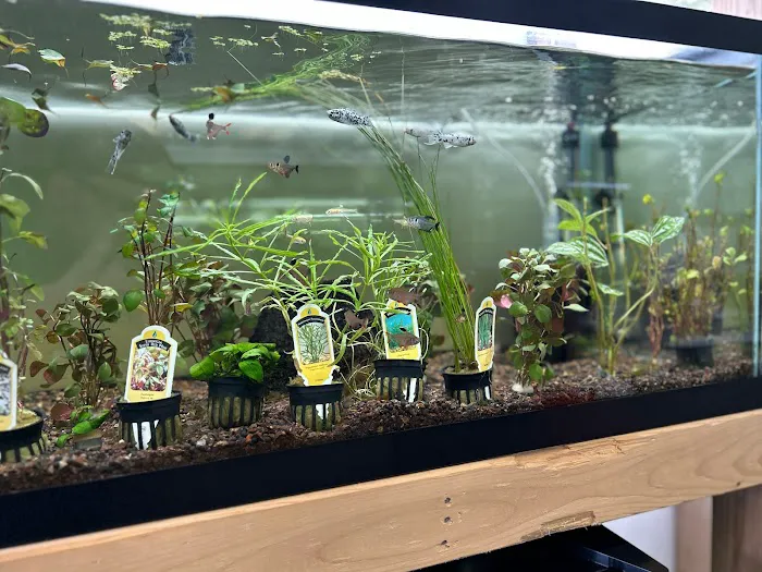 Little Rivers Aquatics Picture 8