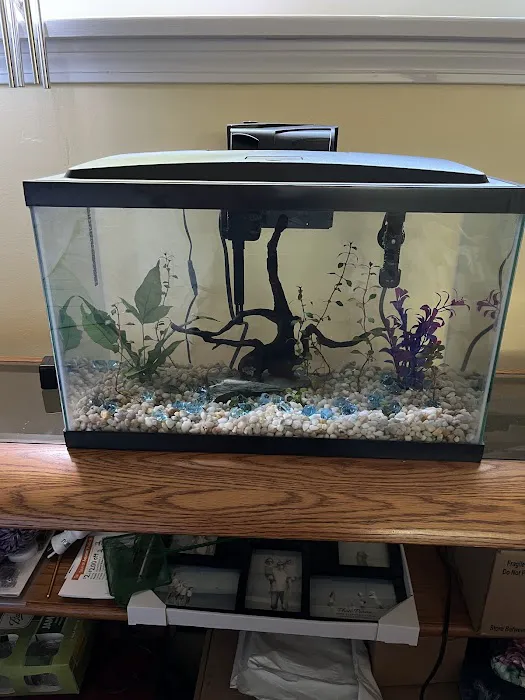 Little Rivers Aquatics Picture 10