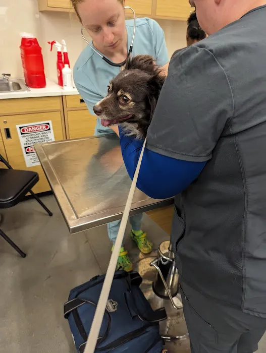 Vetco Vaccination Clinic Picture 3