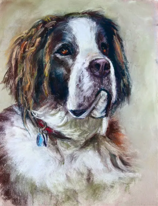 Stirling Veterinary Hospital Picture 2