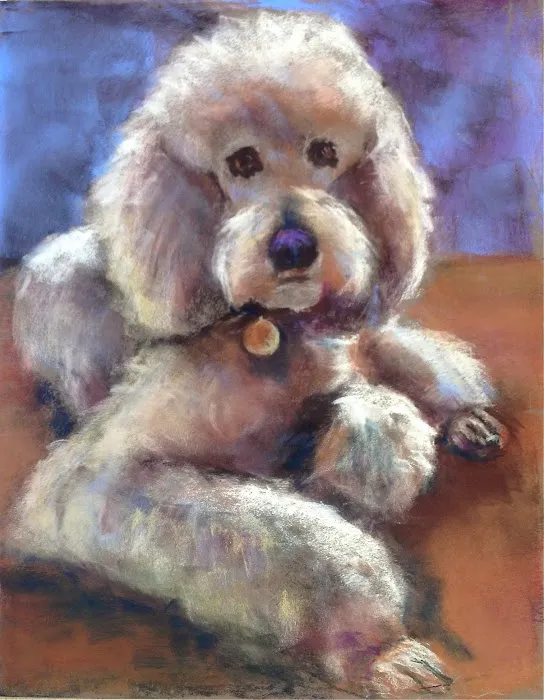 Stirling Veterinary Hospital Picture 4
