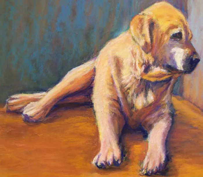 Stirling Veterinary Hospital Picture 5