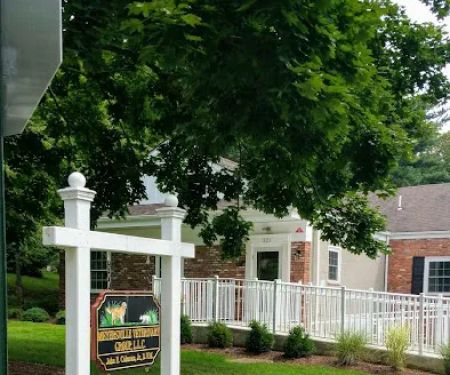 Meyersville Veterinary Group