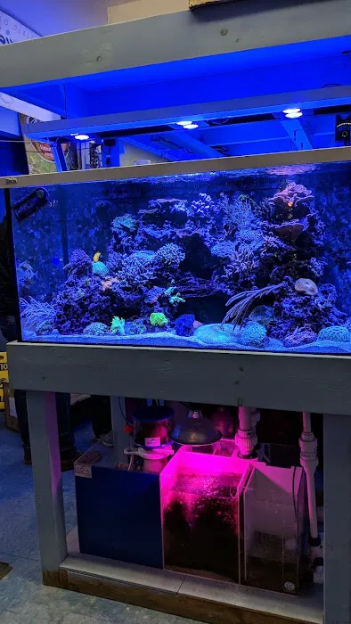 Sea Creature Aquarium Picture 4