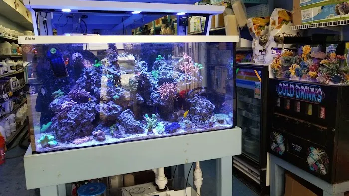 Sea Creature Aquarium Picture 2
