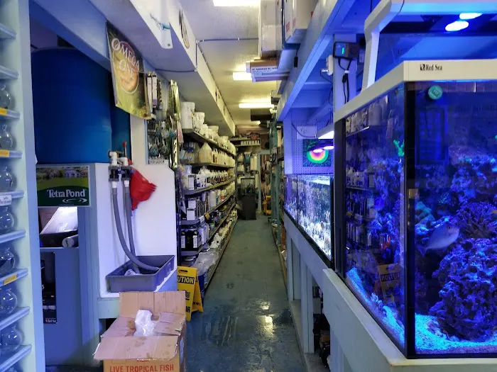 Sea Creature Aquarium Picture 7