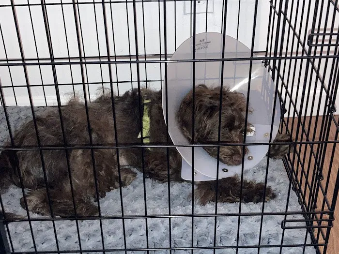 Banfield Pet Hospital Picture 6