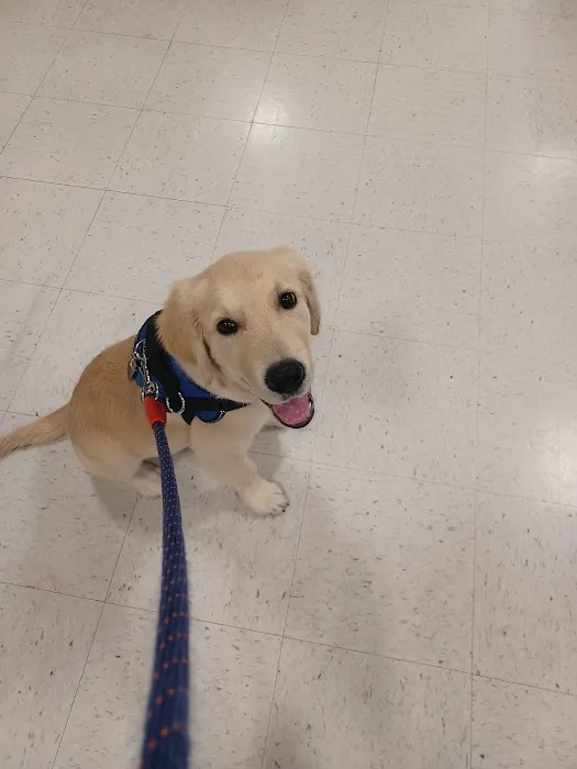 Banfield Pet Hospital Picture 7