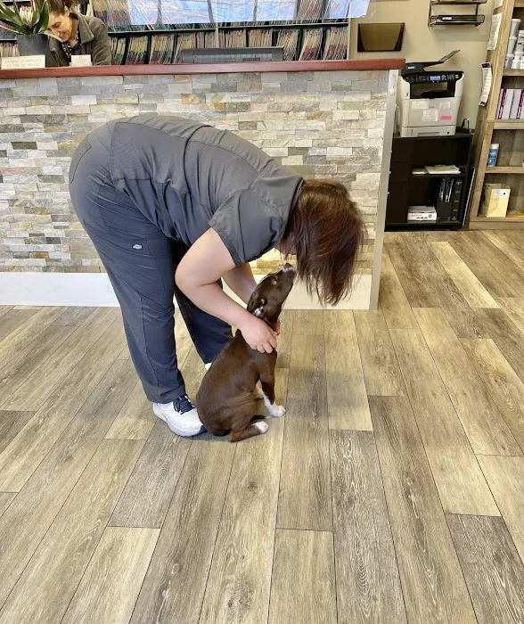 Holmdel Veterinary Clinic Picture 10