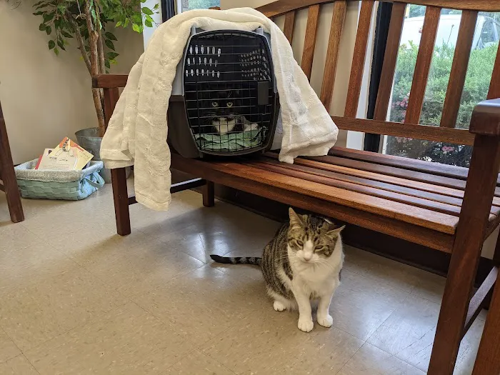 Reid Hill Veterinary Clinic Picture 5