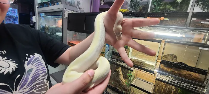 Sabrina's Reptile Kingdom Picture 1