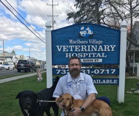 Marlboro Village Veterinary Hospital of Marlboro and Aberdeen & The Bark Park Dog Daycare!