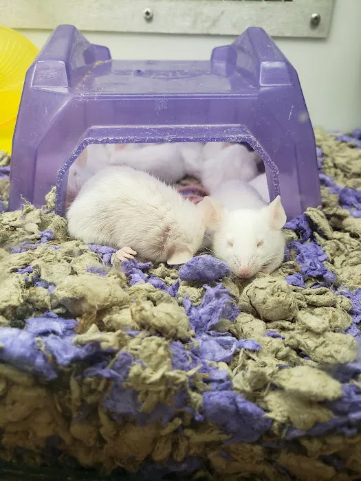 Petco Picture 2