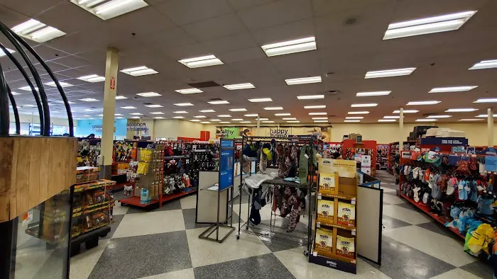 Petco Picture 5