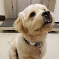 VCA Ocean County Animal Hospital ico