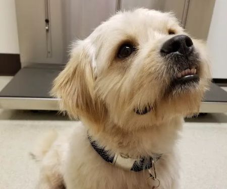 VCA Ocean County Animal Hospital