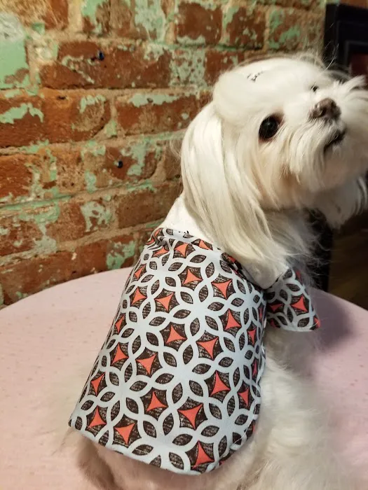 Pawssion Designer Pet Clothing Picture 4