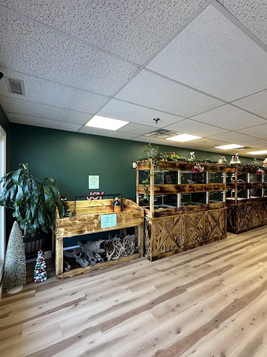 Central Mass Reptiles & Exotics Picture 1