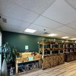 Central Mass Reptiles & Exotics